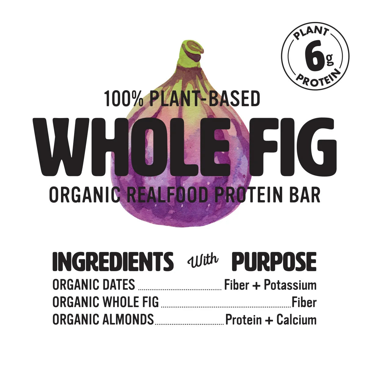Organic Whole Fig Bar - 12 Pack (1.4 Oz each)